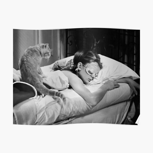 Monochrome - Sleep With Cat Poster