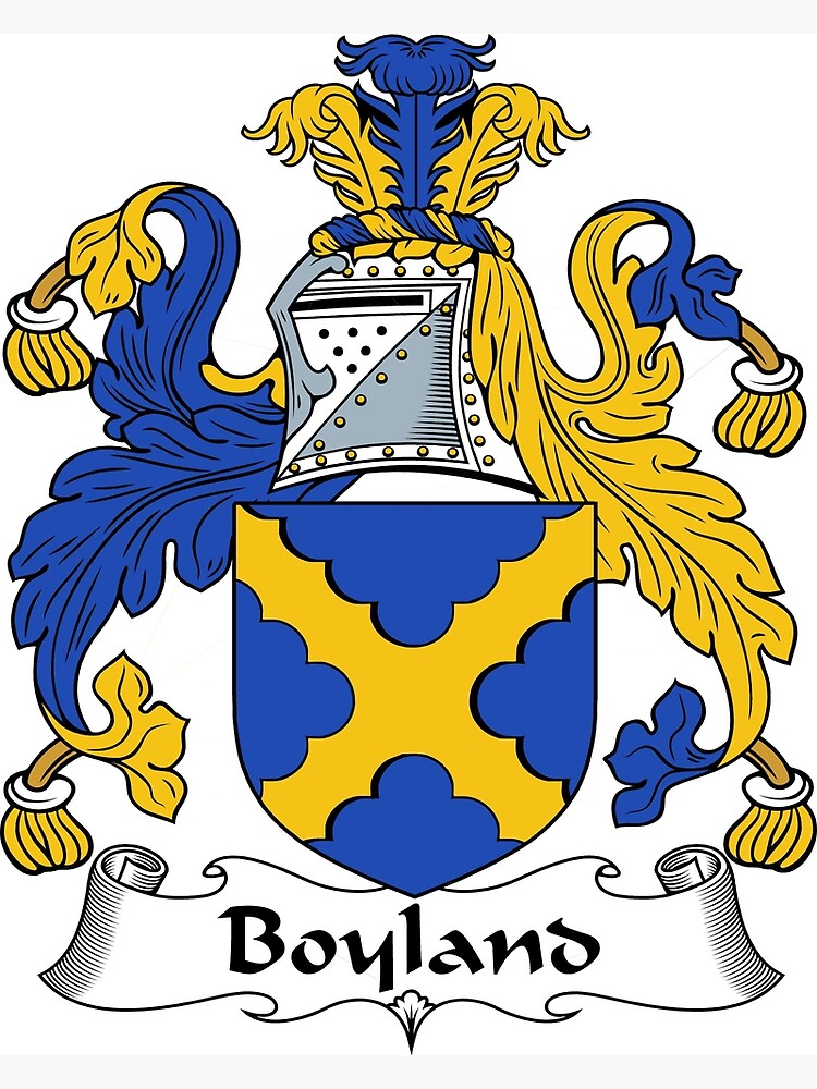 "Boyland " Poster for Sale by HaroldHeraldry Redbubble