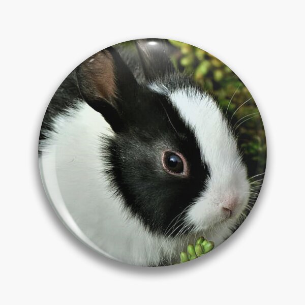 Item preview, Black and White bunny designed and sold by Presly.