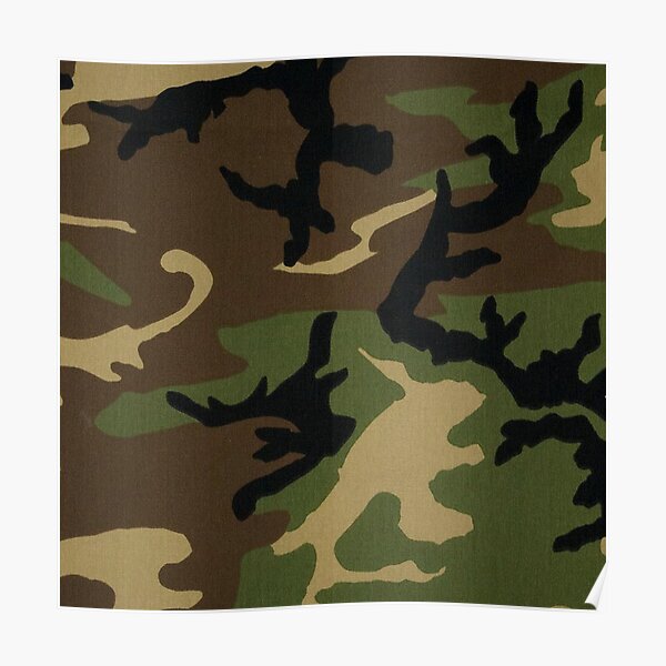 Camo Poster