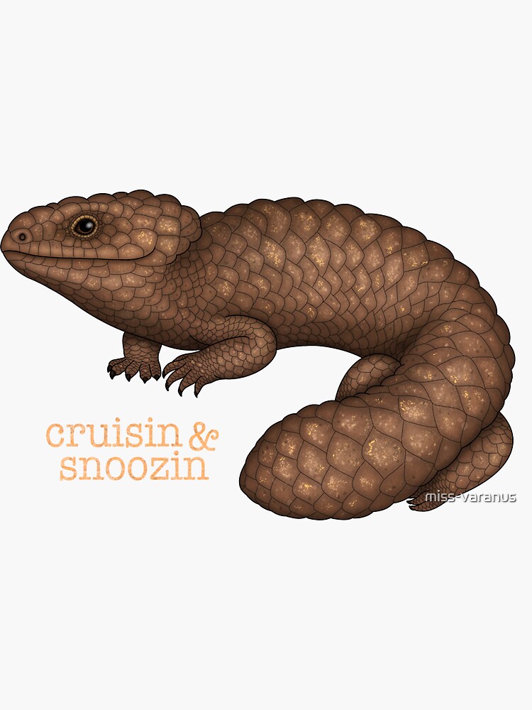 Thumbnail 3 of 3, Sticker, Shingleback Lizard designed and sold by miss-varanus.