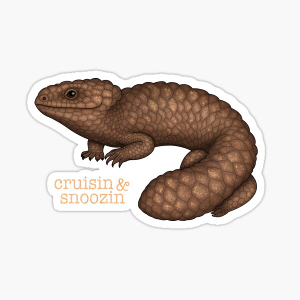 Item preview, Shingleback Lizard designed and sold by miss-varanus.