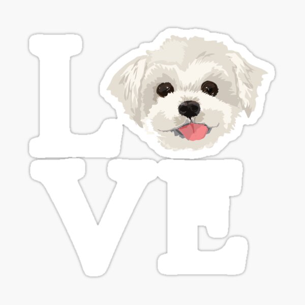 I Love Maltese Dog Lover Cute Doggie Face Sticker
