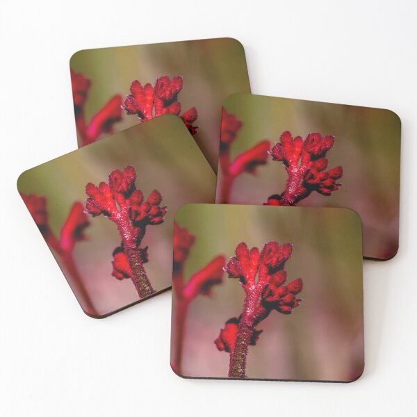 Item preview, Kangaroo Paw designed and sold by indiafrankk.
