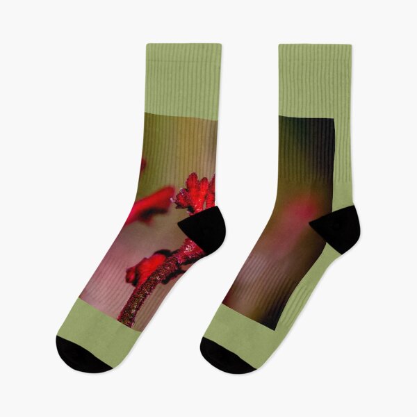 Item preview, Kangaroo Paw designed and sold by indiafrankk.