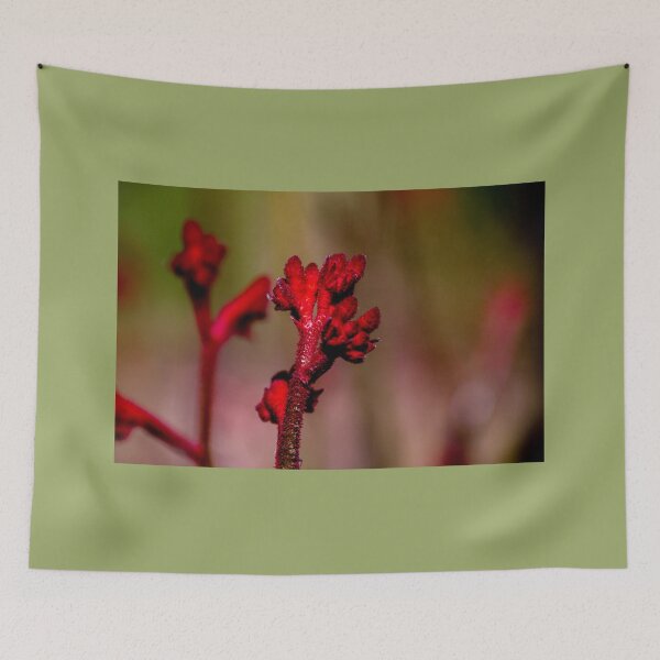 Item preview, Kangaroo Paw designed and sold by indiafrankk.