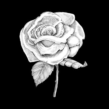 Artwork thumbnail, My Paper Rose by DeafAngel1080