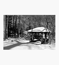 Brooding Dreams Photographic Print