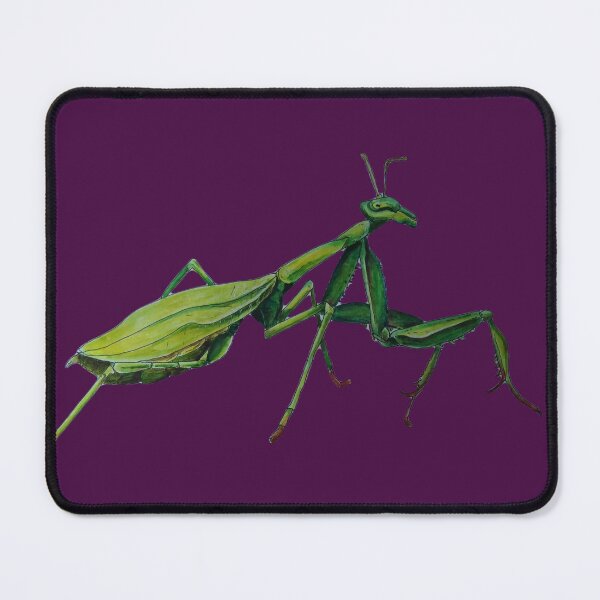 Item preview, Preying mantis designed and sold by dawnduthie.