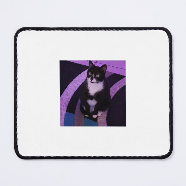 Item preview, Kathy cat has some thinking to do. designed and sold by imyournightmare.