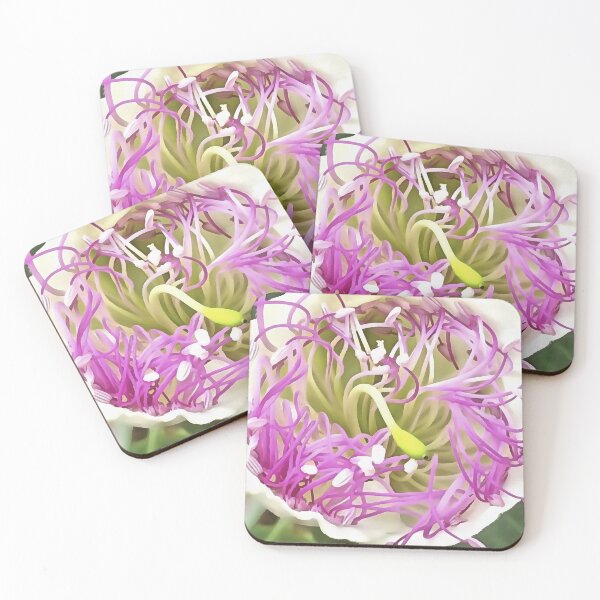 Item preview, Caper Flower Blossom Botanical Art designed and sold by taiche.