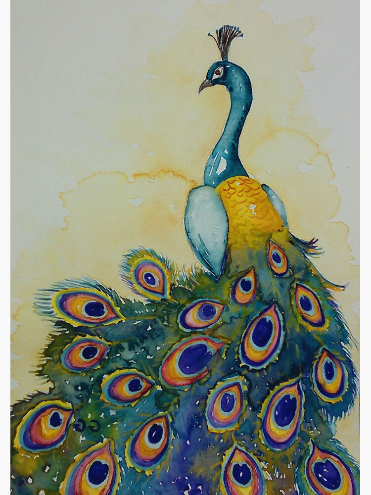 Colorful peacock bird. Ink and watercolor drawing - Stock Illustration  [77357092] - PIXTA