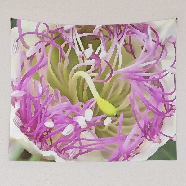 Item preview, Caper Flower Blossom Botanical Art designed and sold by taiche.