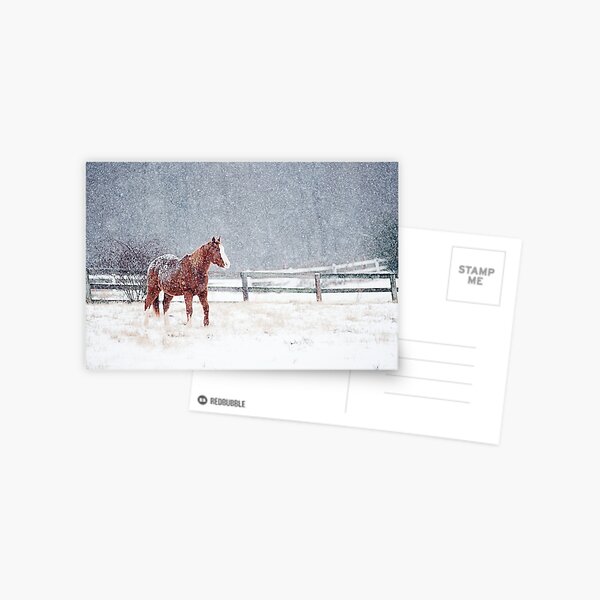Item preview, Horse In Snow Storm designed and sold by Kyle O'Briant.