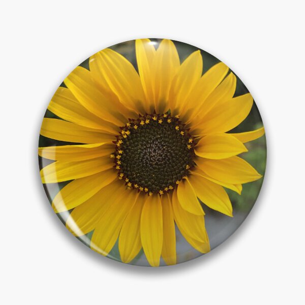 Item preview, Sunflower by Mark Ewing designed and sold by LifeSpice.
