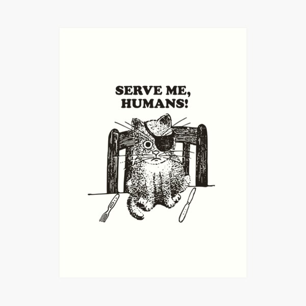 "Cat Meme" Art Print for Sale by RomanoArts Redbubble