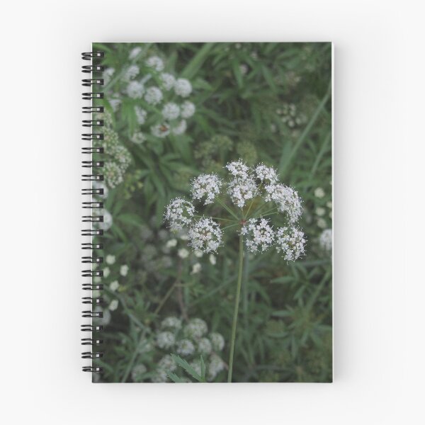 Item preview, seedling designed and sold by ElaW.