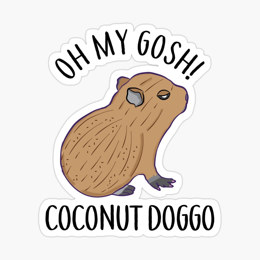 O My Gosh Coconut Doggo Cute Kawaii Baby Capybara Meme Magnet for Sale by  alltheprints | Redbubble