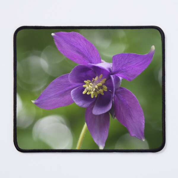 Item preview, Granny's Bonnet designed and sold by coffeebean.