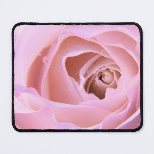Item preview, Delicate Pink Rose by Paulele designed and sold by Paulele.