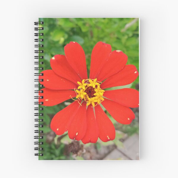 Item preview, Orange Dwarf Sunflower designed and sold by Nesian Tribe Designs.