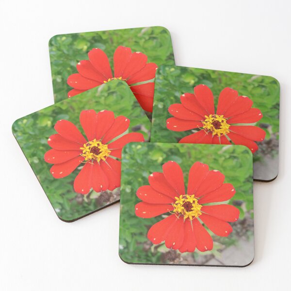 Item preview, Orange Dwarf Sunflower designed and sold by Nesian Tribe Designs.