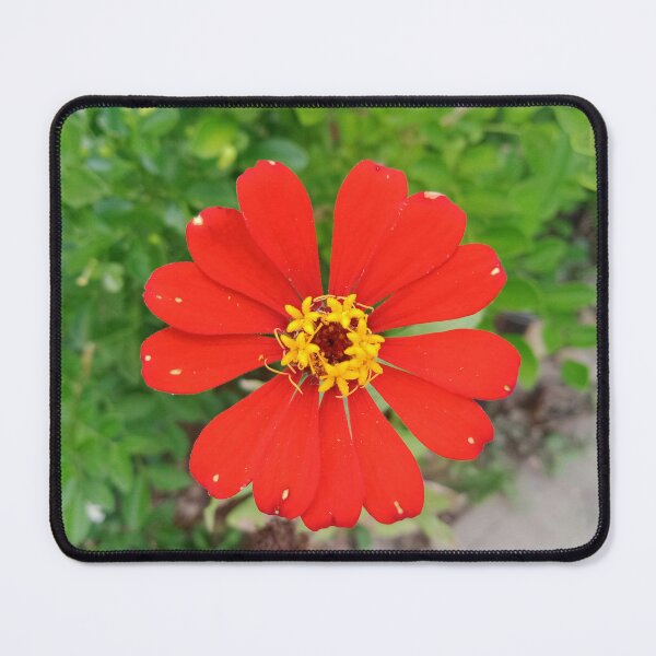 Item preview, Orange Dwarf Sunflower designed and sold by Nesian Tribe Designs.
