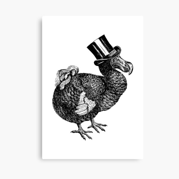 Mr Dodo | Vintage Dodos | Black and White | Canvas Print
