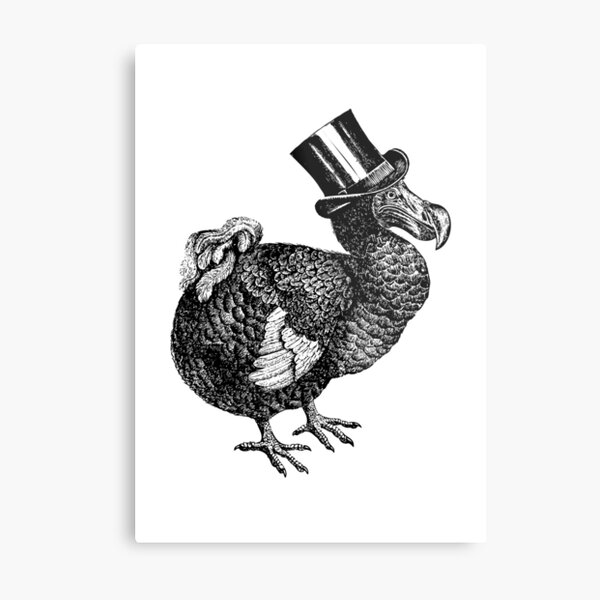 Mr Dodo | Vintage Dodos | Black and White | Metal Print