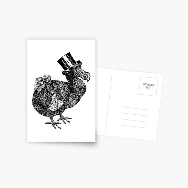 Mr Dodo | Vintage Dodos | Black and White | Postcard