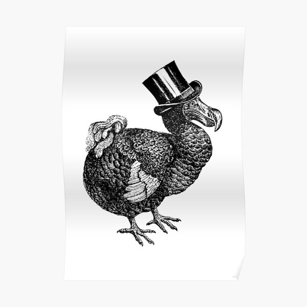 Mr Dodo | Vintage Dodos | Black and White | Poster