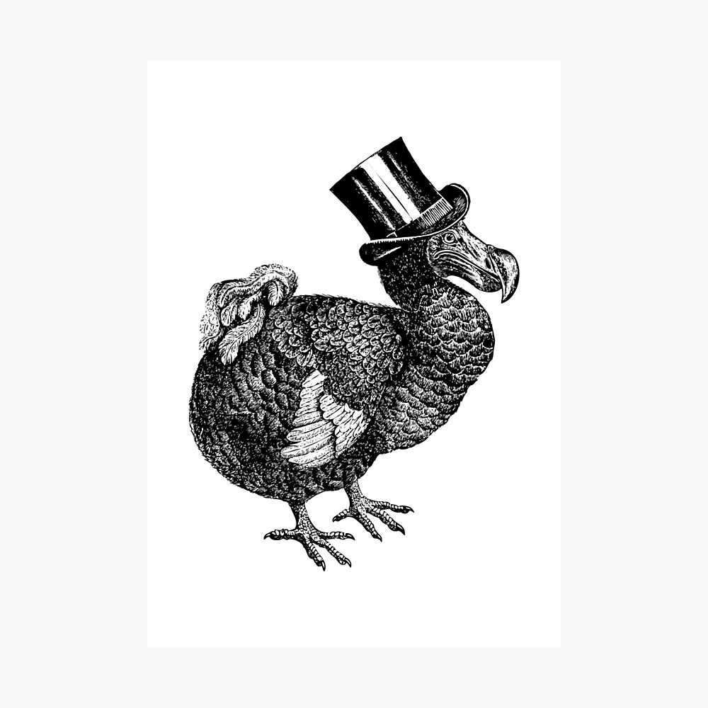 Mr Dodo | Vintage Dodos | Black and White | Photographic Print