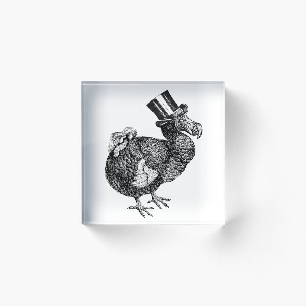 Mr Dodo | Vintage Dodos | Black and White | Acrylic Block