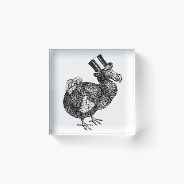 Mr Dodo | Vintage Dodos | Black and White | Acrylic Block