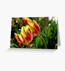 Lean to the left! - Tulips - NZ - Southland Greeting Card