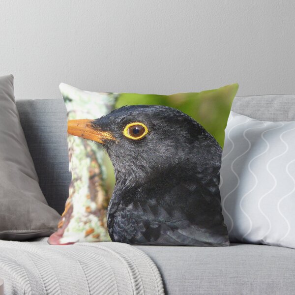 Item preview, Intense Stare! - Blackbird - NZ - Southland designed and sold by AndreaEL.