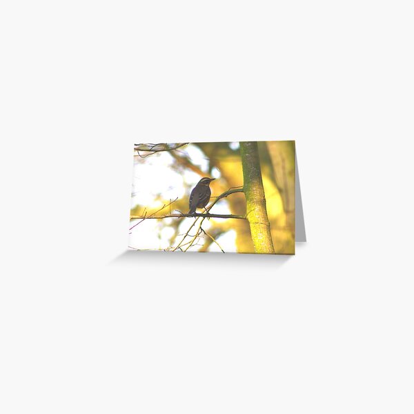 Item preview, Redwing  designed and sold by jdmphotography.