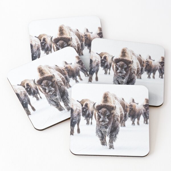 Item preview, Bison group in the road near Frying Pan Spring. designed and sold by Dezza2022.