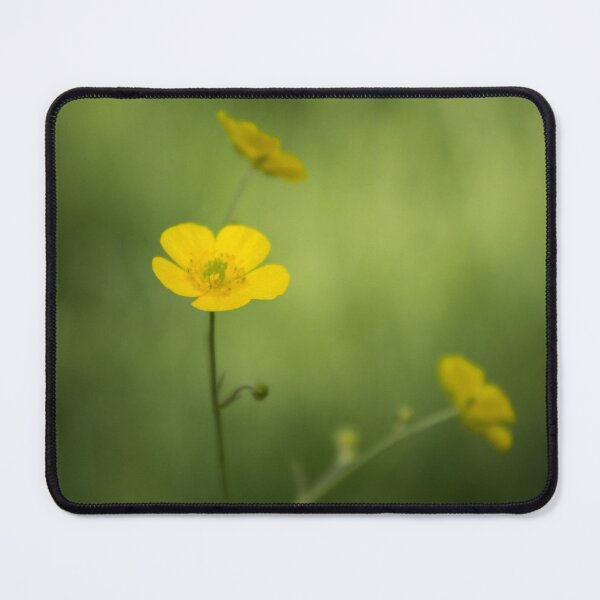 Item preview, Buttercups designed and sold by JEZ22.