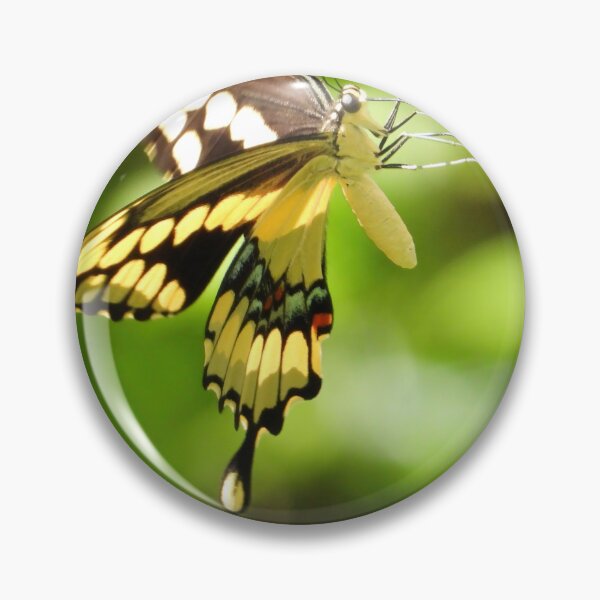 Item preview, Butterfly #0002 designed and sold by Jeffrey Mask.