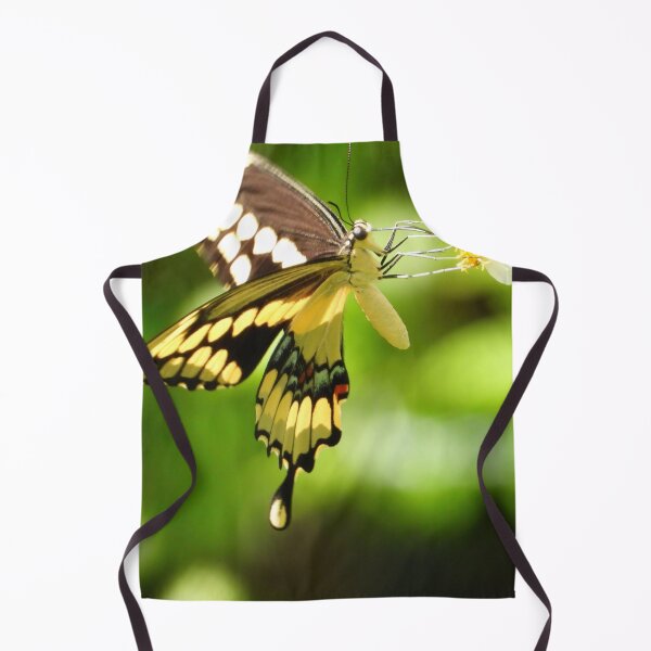 Item preview, Butterfly #0002 designed and sold by Jeffrey Mask.