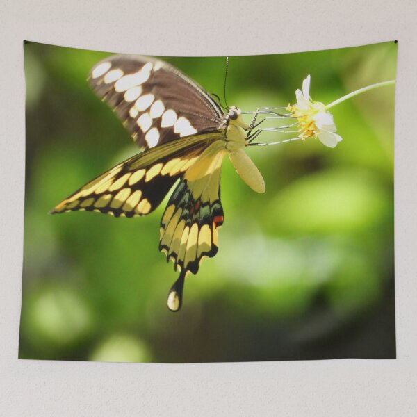 Item preview, Butterfly #0002 designed and sold by Jeffrey Mask.