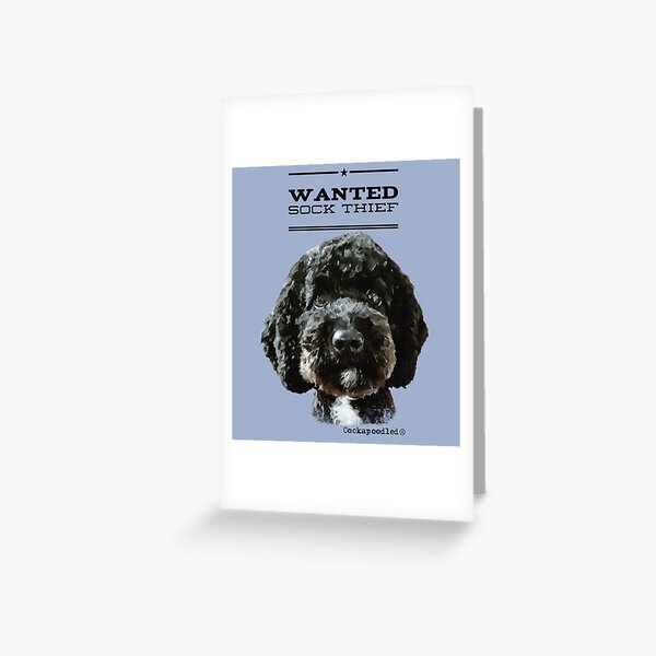 Cockapoo wanted sales