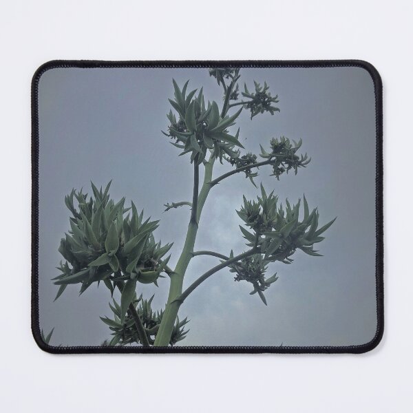 Item preview, Prickly Plant designed and sold by KazM.