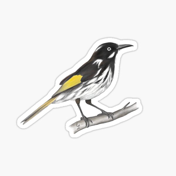 Item preview, New holland honeyeater designed and sold by Ellie-Hay.