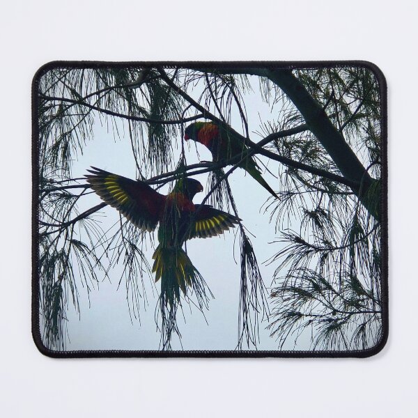 Item preview, Beaut Birds Backlit designed and sold by KazM.
