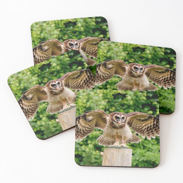 Item preview, Wood Owl designed and sold by photobytableau.