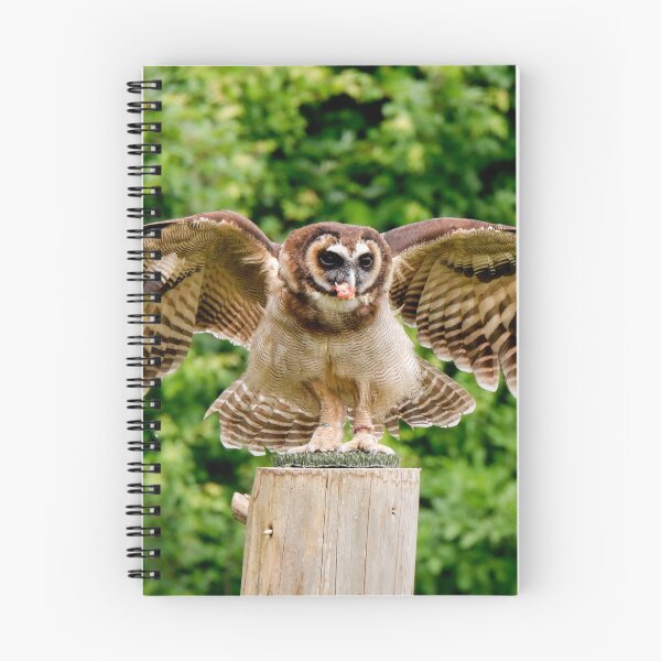 Item preview, Wood Owl designed and sold by photobytableau.