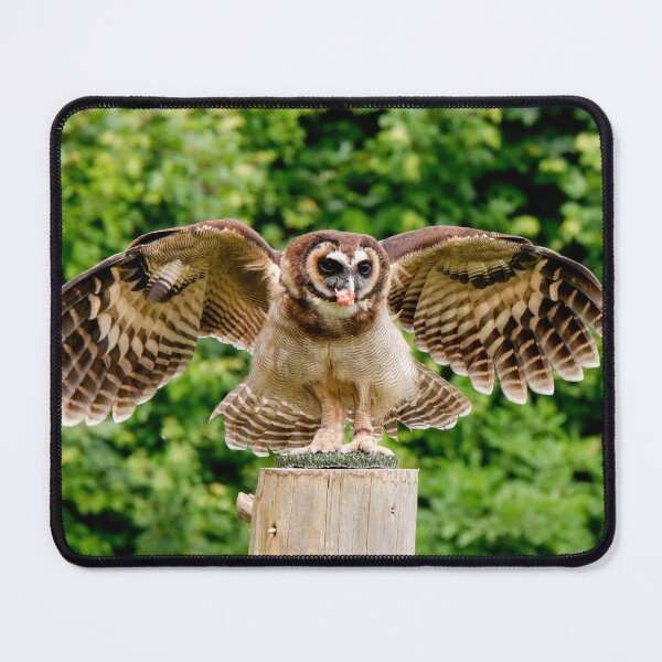 Item preview, Wood Owl designed and sold by photobytableau.