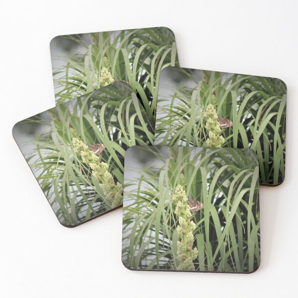 Item preview, Beaut Butterfly in the Ponytail Palm designed and sold by KazM.